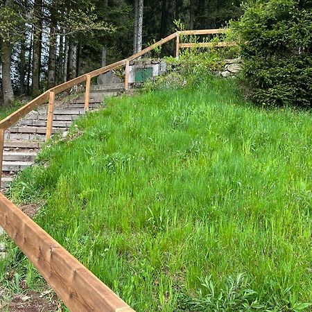Charmant Chalet Cosy & Paisible En Pleine Nature - Refuge Idyllique Pour 5P Gérardmer Exterior foto