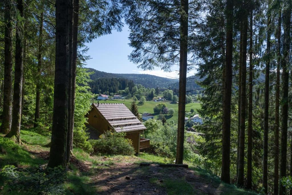 Charmant Chalet Cosy & Paisible En Pleine Nature - Refuge Idyllique Pour 5P Gérardmer Exterior foto
